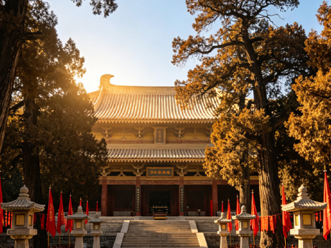 华夏之旅西安·黄帝陵5日游